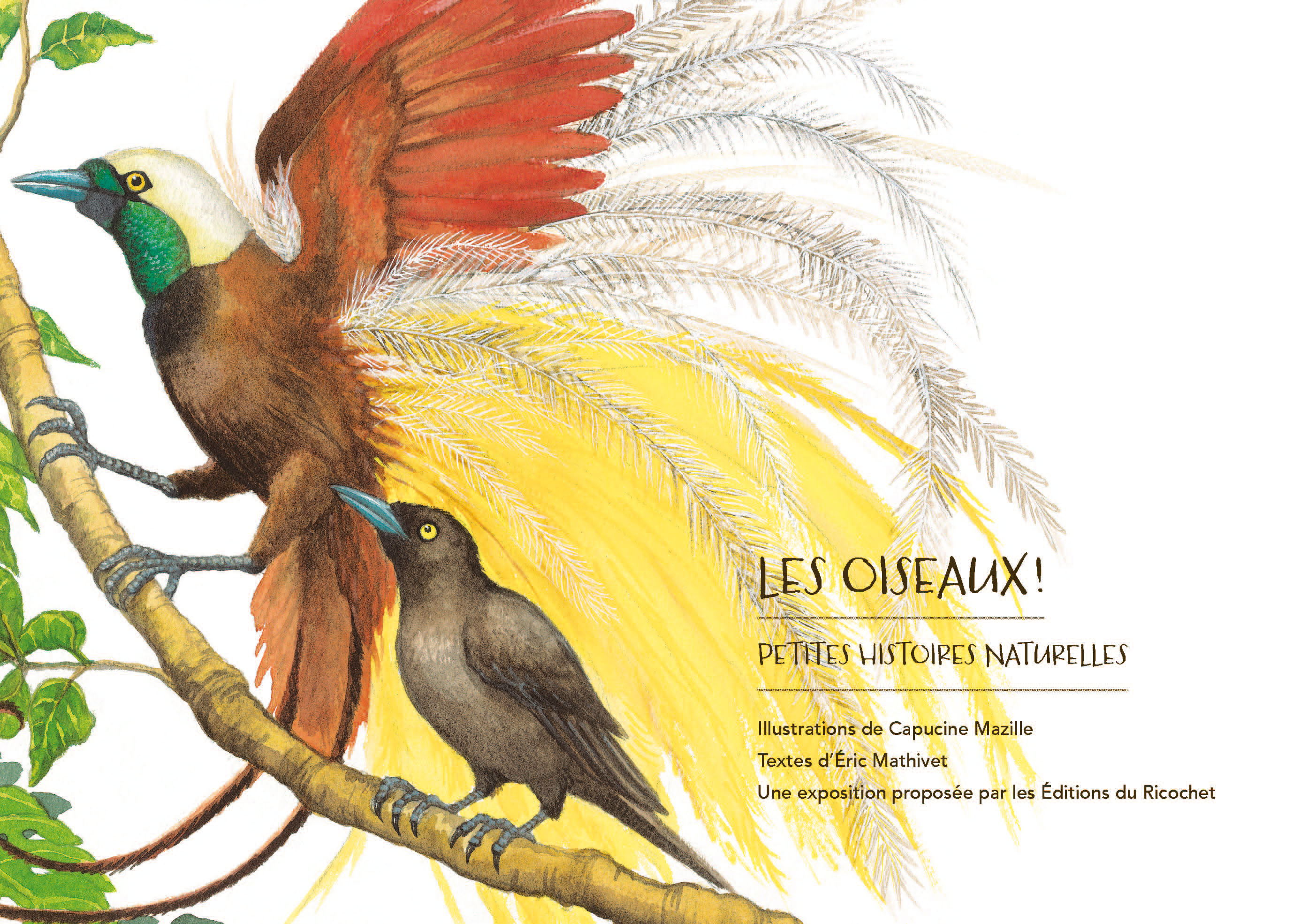 Expo Oiseau Resplendissant editions ricochet