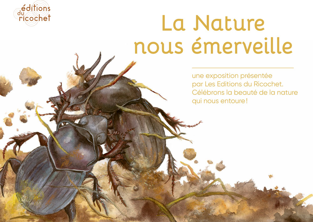 exposition la nature nous emerveille 1 editions Ricochet