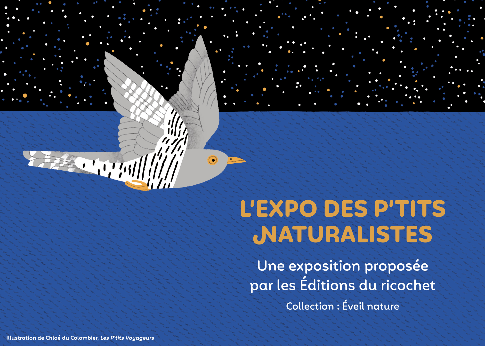 0 Expo Ptits naturalistes BD 1