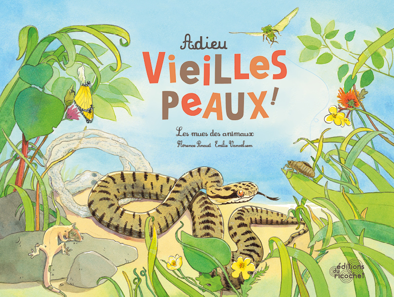 Adieu vieilles peaux ! - Les mues des animaux