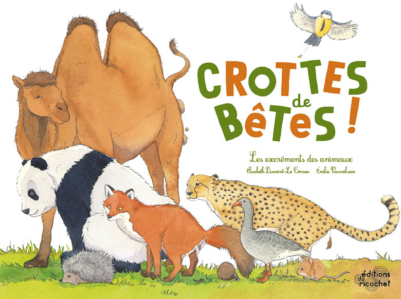 Crottes de bêtes ! - Les excréments des animaux