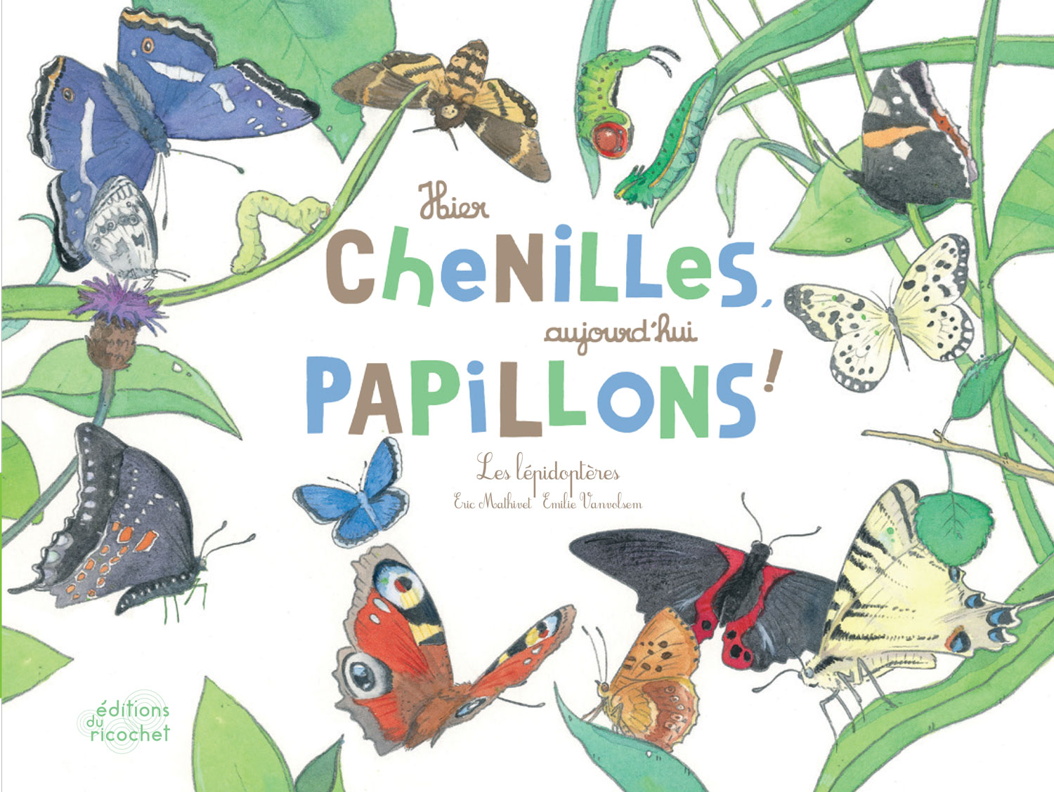 Hier chenilles, aujourd’hui papillons ! - Larves, chenilles, chrysalides, papillons… lépidoptères !