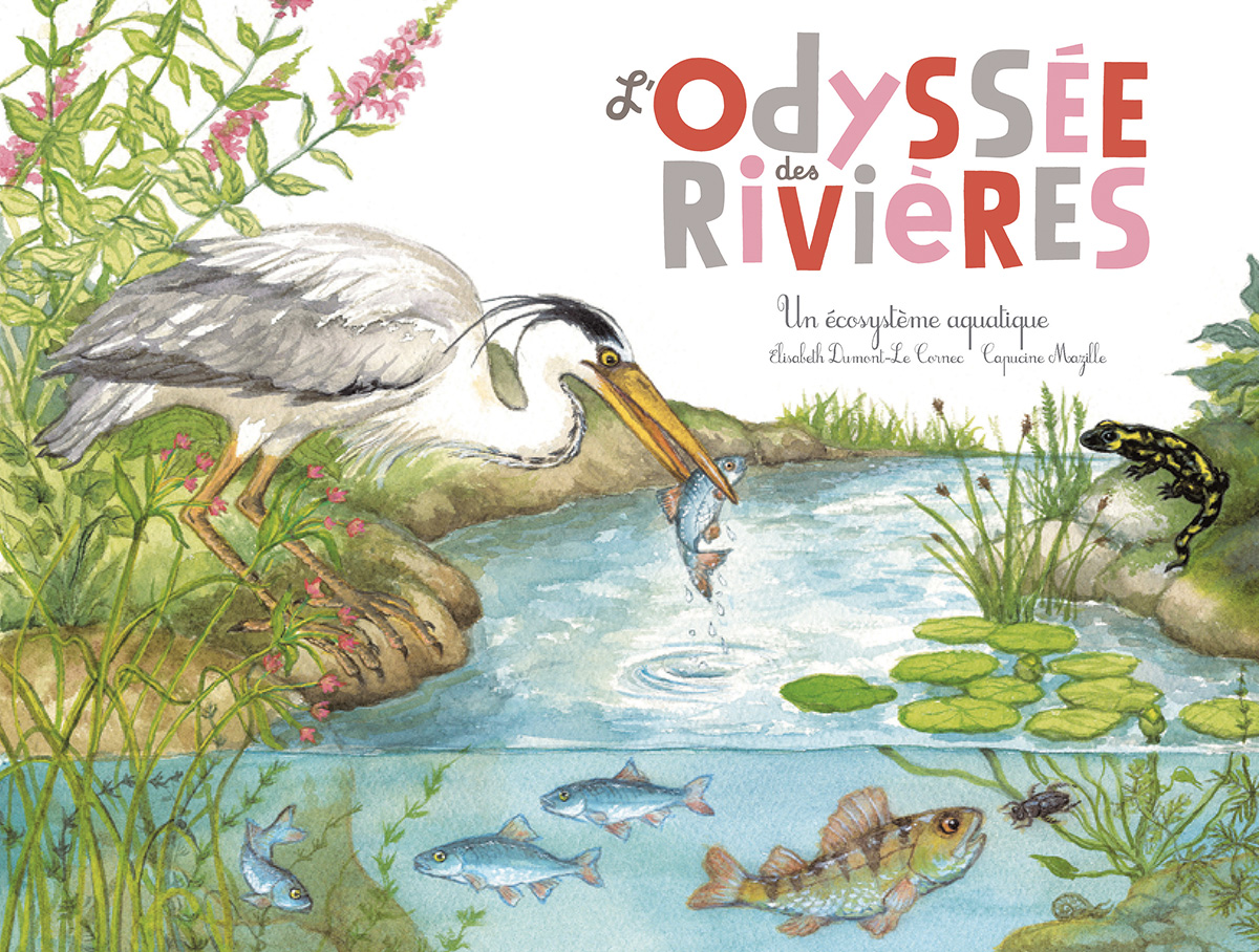 L’Odyssée des rivières - Un écosystème aquatique