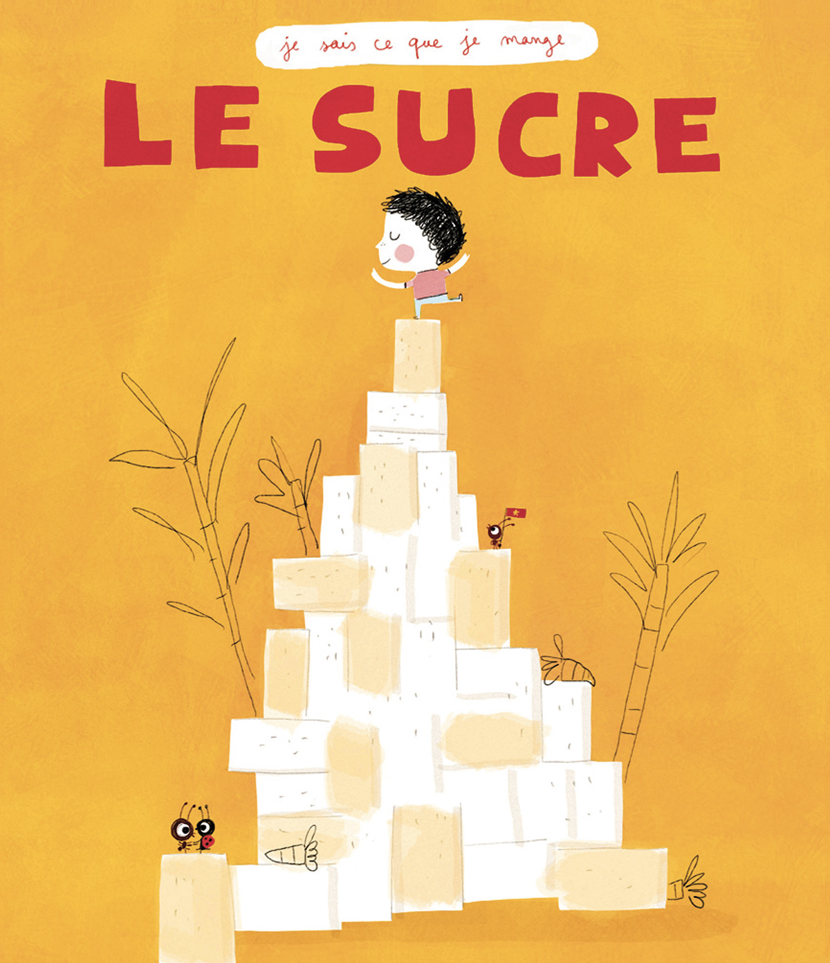 Le Sucre - Sucre et autres gourmandises