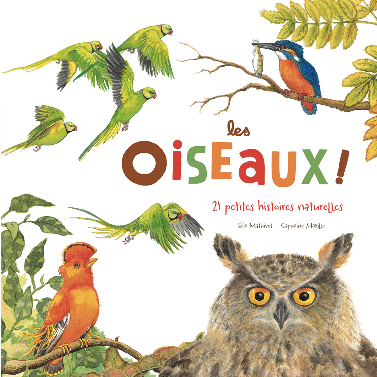 Les Oiseaux  - L'ornithologie, un monde fascinant