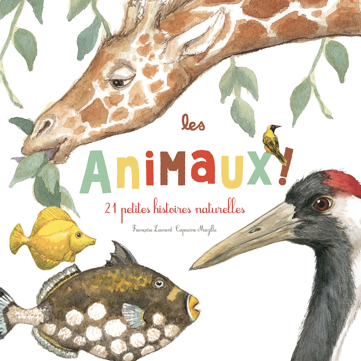 Les Animaux ! - À chacun ses us et coutumes…