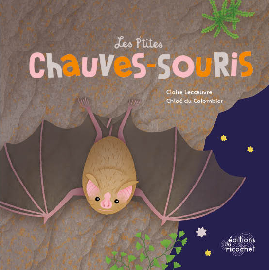 Les P'tites Chauves-souris - Les reines de la nuit livrent leurs secrets !