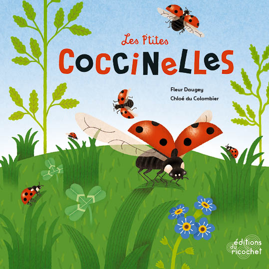 Les P'tites Coccinelles - La vie d'un coléoptère
