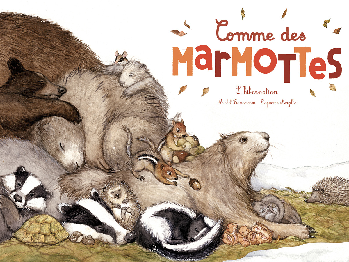 Comme des marmottes - L'hibernation