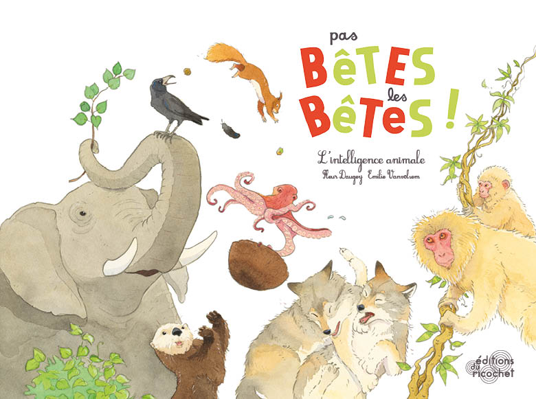 Pas bêtes les bêtes ! - L'intelligence animale