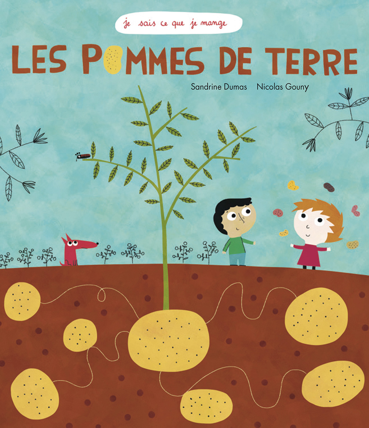 Les Pommes de terre - Les pommes de terre, quelles cachotières !