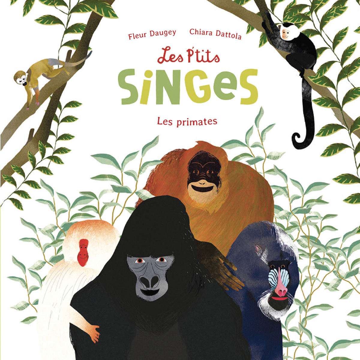 Les P’tits Singes - Les primates