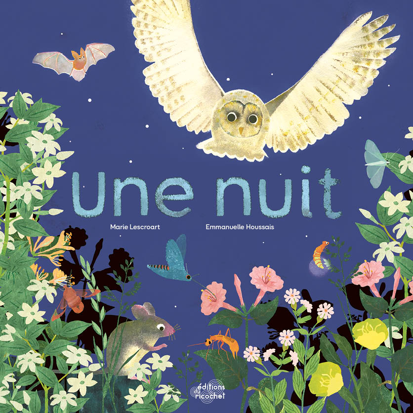 Une nuit - La vie nocturne des animaux