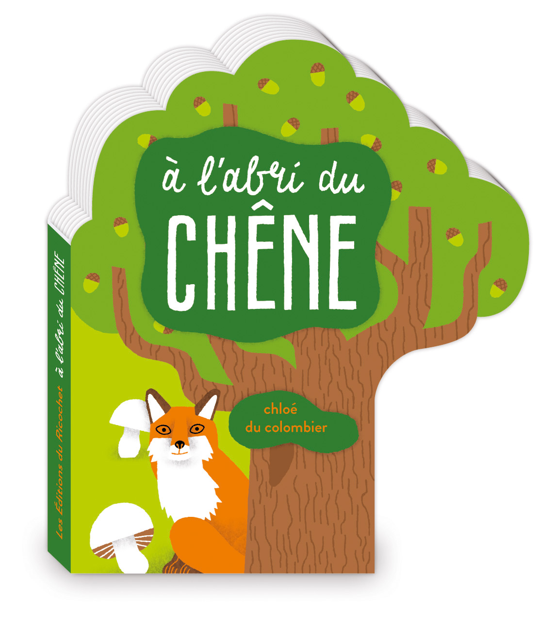 À l’abri du chêne - Qui suit les saisons du chêne ?