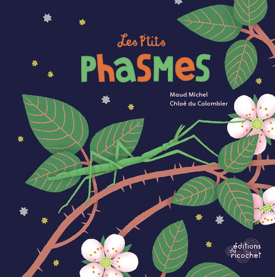 Les P'tits Phasmes - L'insecte qui adore le cache-cache