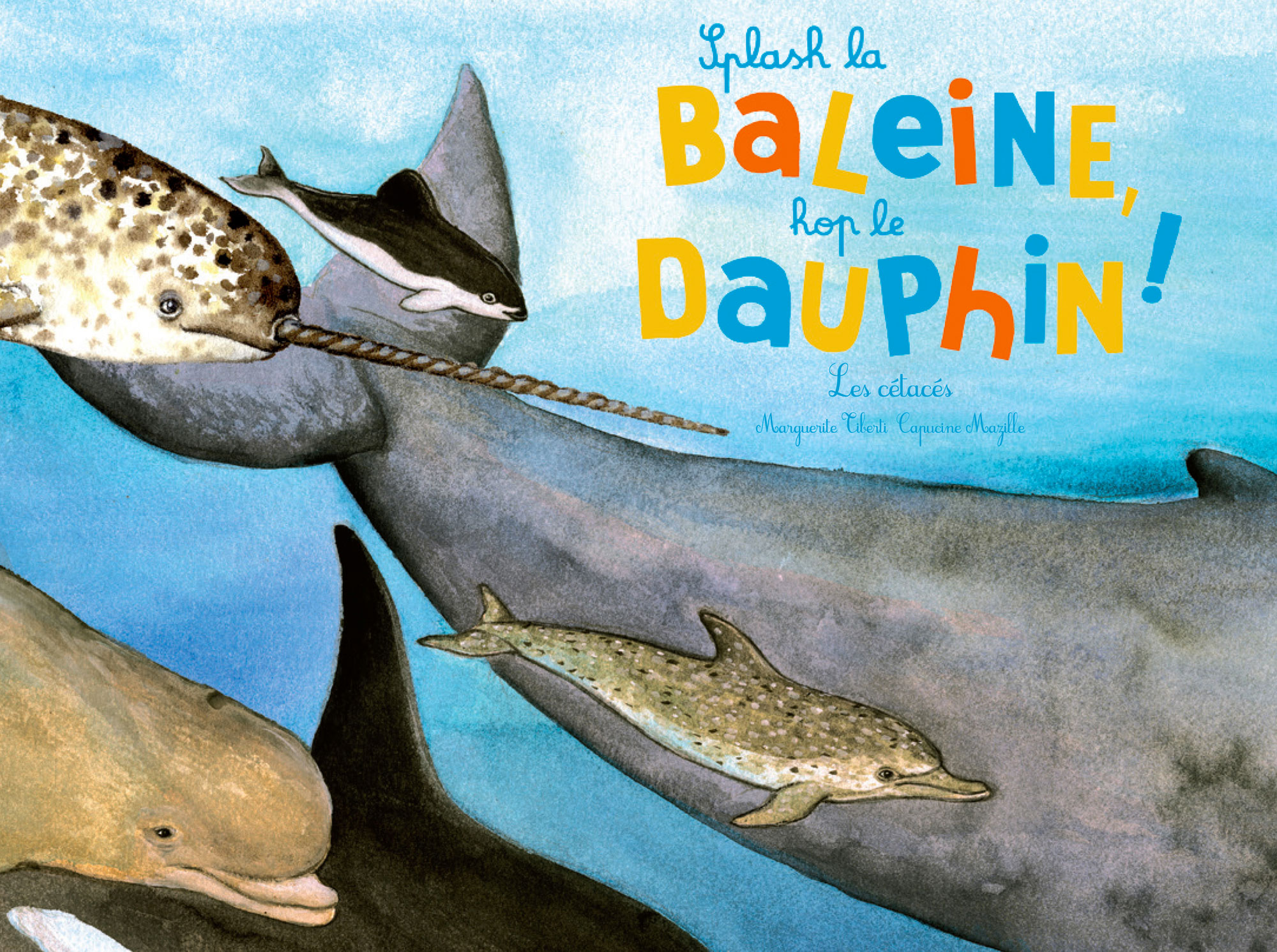 Splash la baleine, hop le dauphin ! - Les cétacés